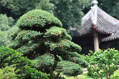 868-Suzhou,19 luglio 2014